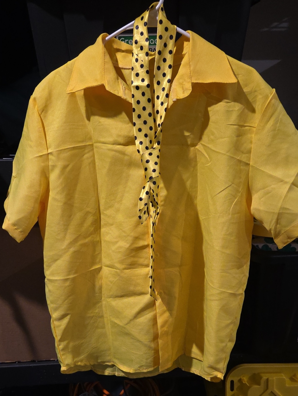 Man In The Yellow Hat Costume (Curious George)